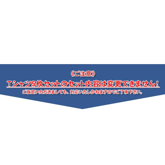 Tシャツ メンズ 半袖 5枚セット プリントTシャツ 5枚組 レギュラー