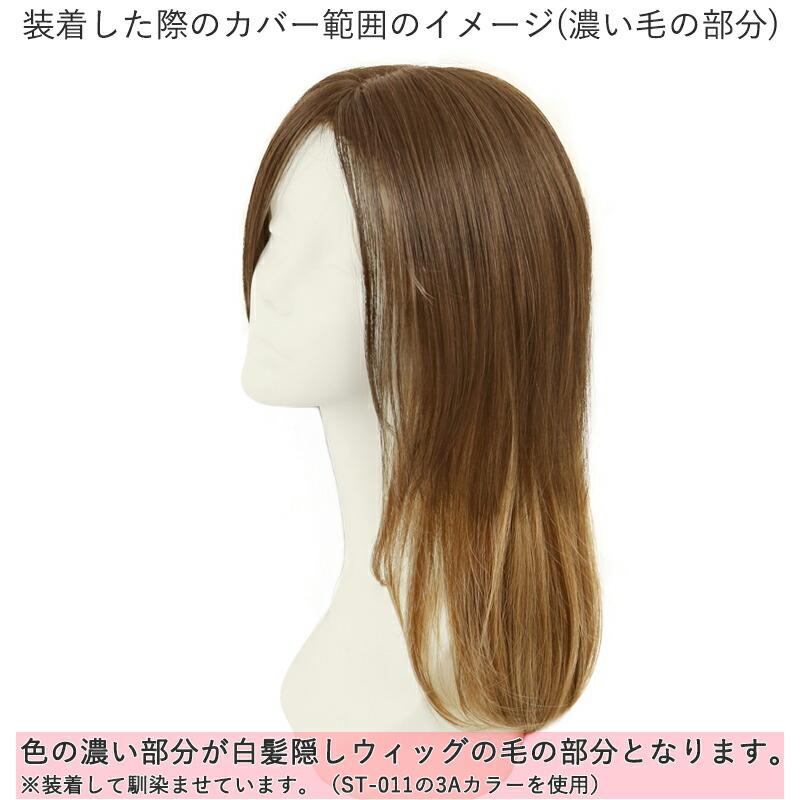 ウィッグ 部分 白髪隠し 頭頂部 女性 かつら カツラ トップ カバー ヘアピース ロング つけ髪 白髪かくし 薄毛隠し つむじ 自然 60代 母の日 |  | 04
