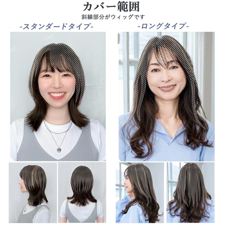 部分ウィッグ  カバーピース ヘアピース 白髪隠し つけ髪 頭頂部 ミセス メッシュ 薄毛隠し グレーヘア 母の日 40代 50代 60代 70代 スタンダード約30cm |  | 03