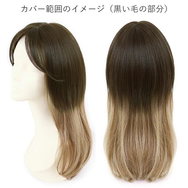 前髪ウィッグ つむじあり グラムワンレンバングス 部分ウィッグ