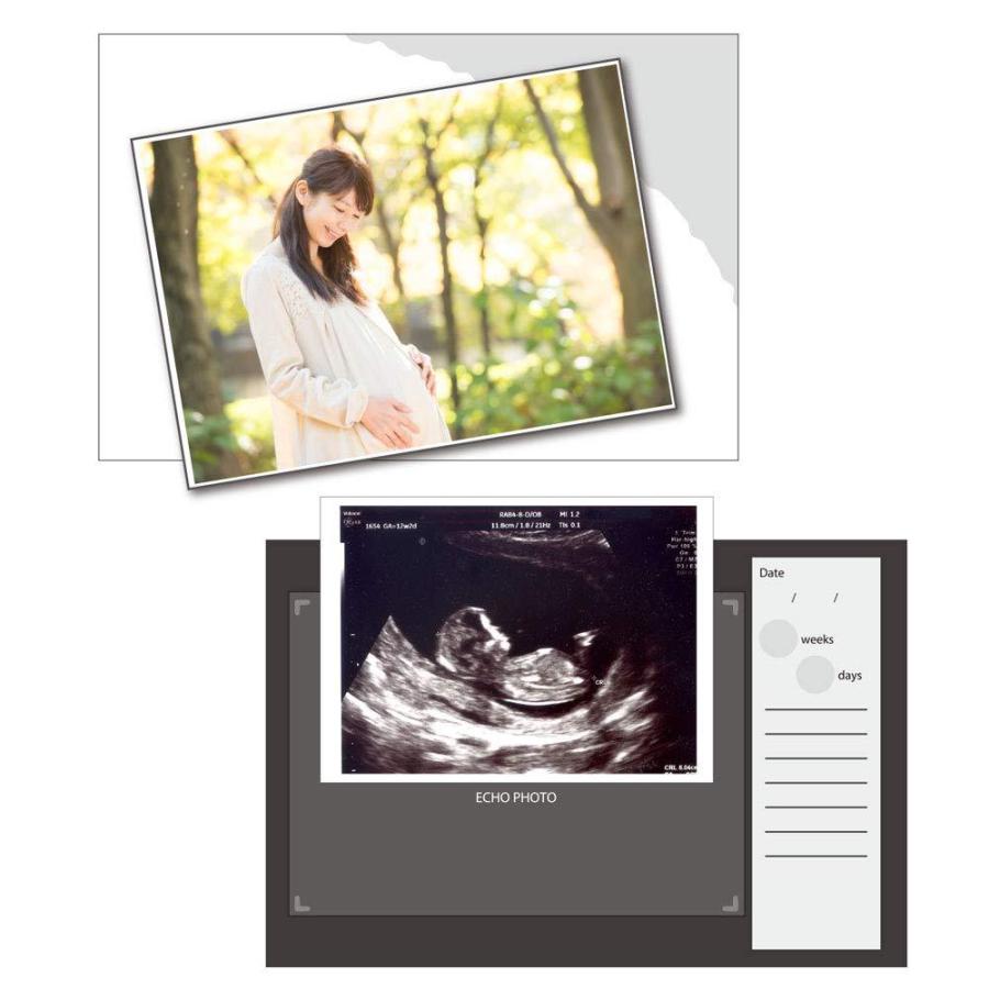 サンスター文具 お得セット ディズニー エコー写真アルバム アンドマム ベビーミッキーamp フレンズ 送料無料 S