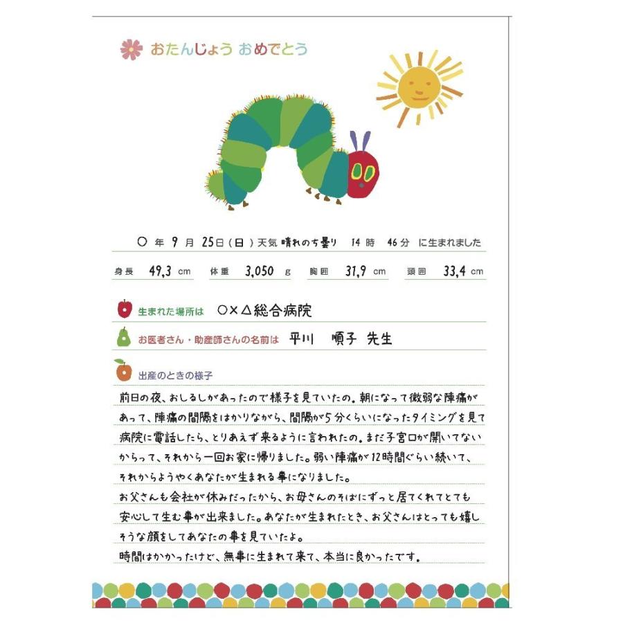 学研ステイフル 日記帳 E C育児ダイアリー 送料無料 テレビで話題 D あおむし