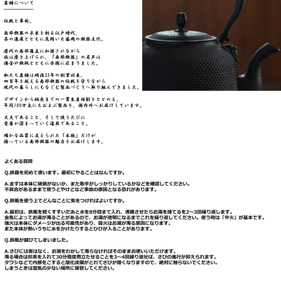 岩鋳 Iwachu 鉄瓶兼用急須 3型新亀甲 黒 0.32L ホーロー無し 直火対応 