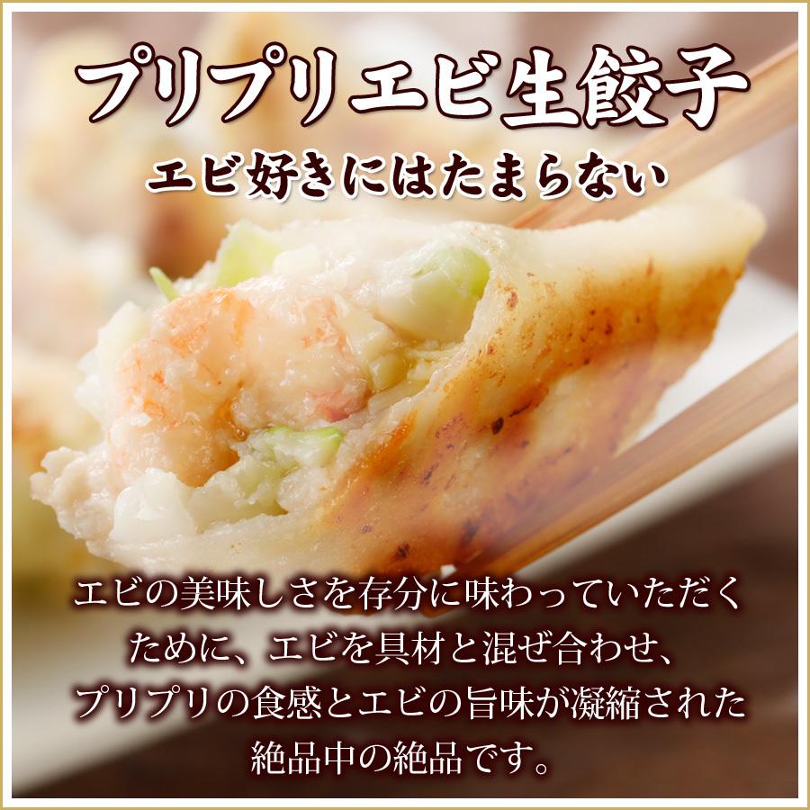 (２７%OFF 送料無料) お試しセット５種類５０個  詰め合わせ 冷凍餃子  生餃子 餃子 ぎょうざ ギョーザ ギョウザ 冷凍生餃子 お取り寄せ セット 冷凍食品 グルメ |  | 03
