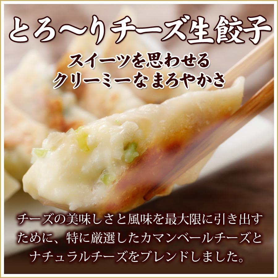 (２７%OFF 送料無料) お試しセット５種類５０個  詰め合わせ 冷凍餃子  生餃子 餃子 ぎょうざ ギョーザ ギョウザ 冷凍生餃子 お取り寄せ セット 冷凍食品 グルメ |  | 04