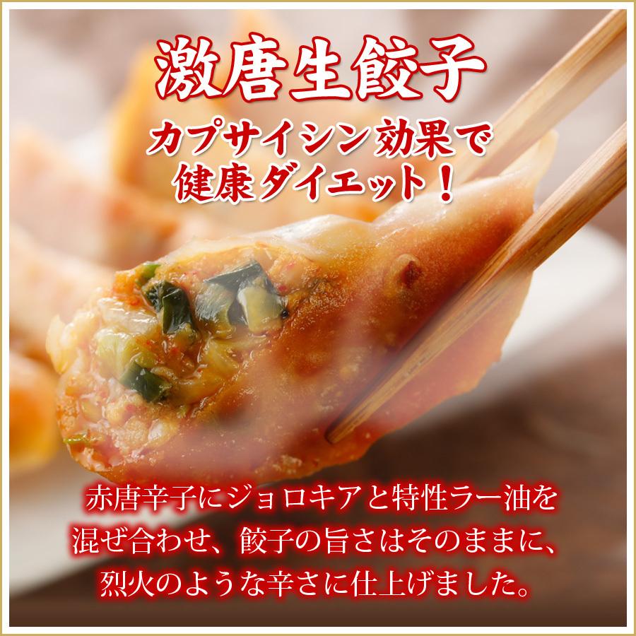 (２７%OFF 送料無料) お試しセット５種類５０個  詰め合わせ 冷凍餃子  生餃子 餃子 ぎょうざ ギョーザ ギョウザ 冷凍生餃子 お取り寄せ セット 冷凍食品 グルメ |  | 06
