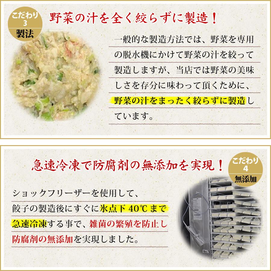 送料無料 (５種類５０個入) １０人前 詰め合わせ 冷凍餃子  生餃子 餃子 ぎょうざ ギョーザ ギョウザ 冷凍生餃子 お取り寄せ セット 冷凍食品 グルメ｜azi-no-takumi｜10