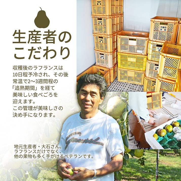 ラフランス 訳あり 2kg 送料無料 ラ・フランス 洋梨 洋ナシ 山形県産