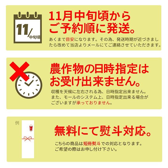 【2024年11月上旬 先行予約】 ラフランス 秀品 3kg 送料無料 ラ・フランス 洋梨 洋ナシ 山形県産 産地直送 贈答用 ギフト 贈り物 プレゼント 遠方送料加算｜azimiya｜10