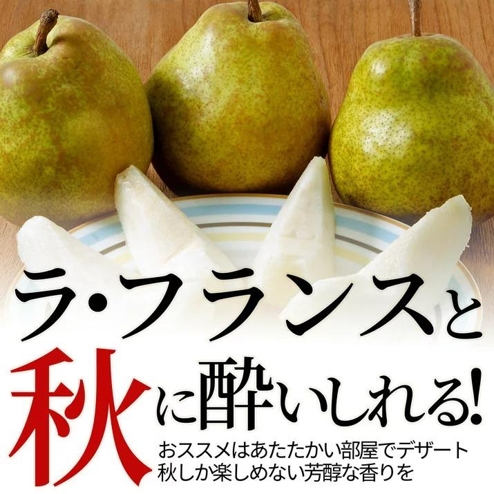 只今 お届け中 ラフランス 訳あり 5kg 送料無料 ラ フランス 洋梨 洋ナシ 山形県産 産地直送 お徳用 ご家庭用 自家用 遠方送料加算 0014 111 グルメギフトお取り寄せ山形elab 通販 Yahoo ショッピング