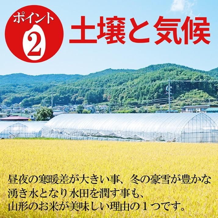 令和6年産 2024 山形県産 ひとめぼれ 玄米 30kg 送料無料 特A米