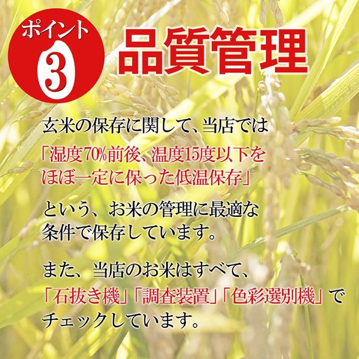 令和7年産 2025 山形県産 ひとめぼれ 玄米 30kg 送料無料 特A米 お米