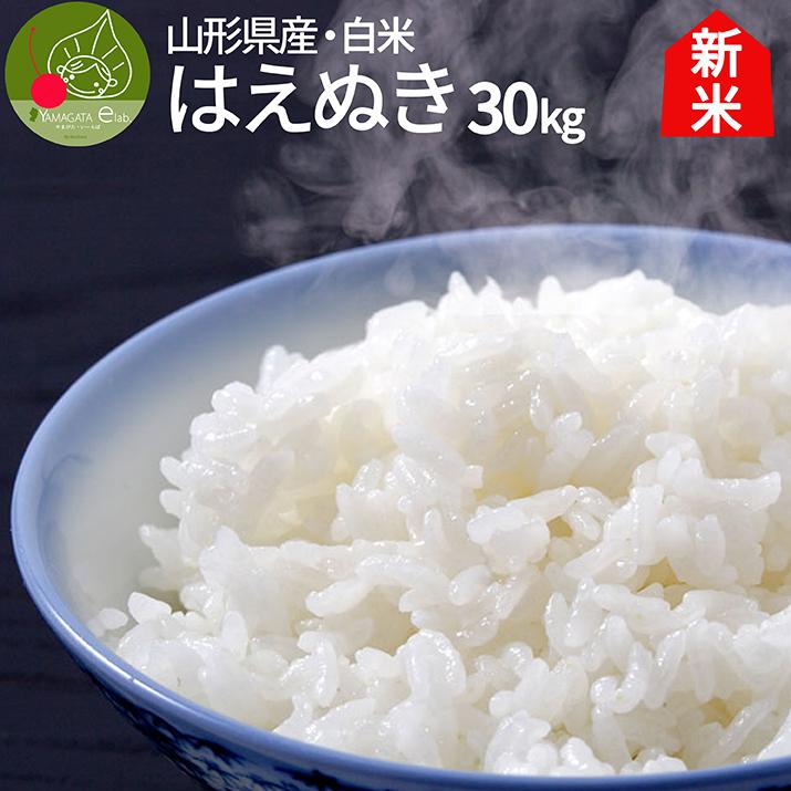 はえぬき 令和6年 新米 2024年 山形県産 白米 30kg (5kg×6袋) 精米 