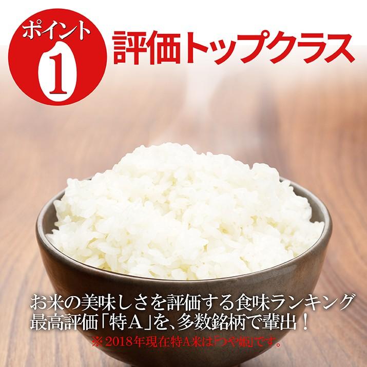 はえぬき 令和6年 新米 2024年 山形県産 白米 30kg (5kg×6袋) 精米 
