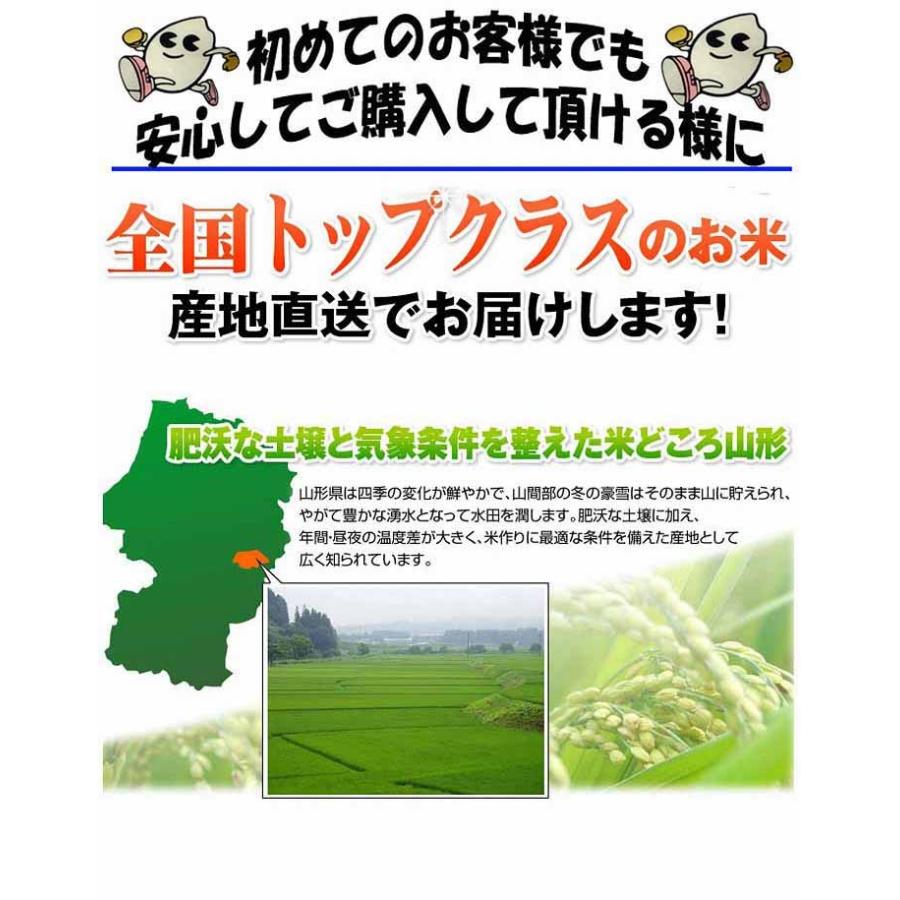 はえぬき 令和6年 新米 2024年 山形県産 白米 30kg (5kg×6袋) 精米 