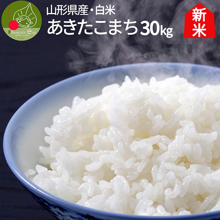 5年産 山形産 あきたこまち 白米 30kg