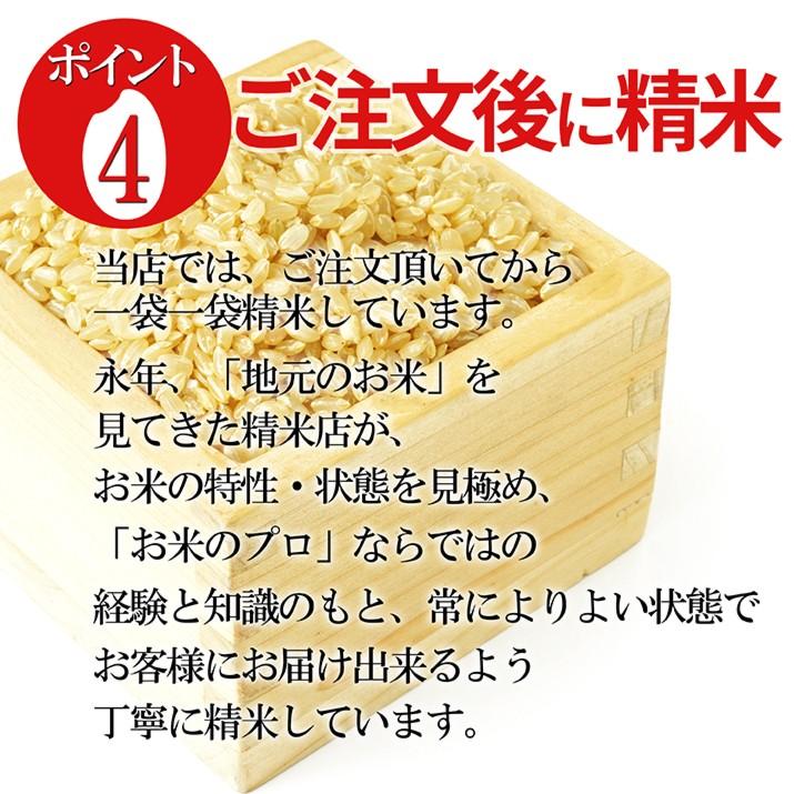 令和6年産 新米 2024 山形県産 ひとめぼれ 白米 30kg(5kg×6袋) 送料