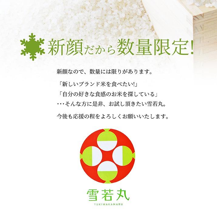 令和7年産 新米 雪若丸 玄米 30kg 山形県産 送料無料 2025年産 お米
