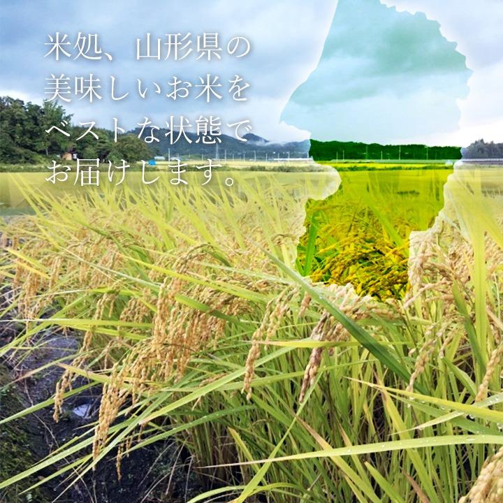 山形県産 お米 食べ比べ セット ギフト 贈答用 こめイロ9 化粧箱 3合×9