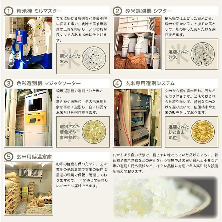 山形県産 つや姫 雪若丸 食べ比べ セット お米 ギフト 贈答用 こめイロ
