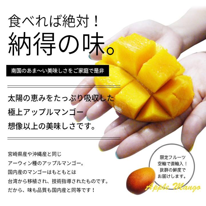 高級 アップルマンゴー 約1kg 約2 3玉前後 台湾から直輸入 台湾産 マンゴー 送料無料 お中元 Mango 101 グルメギフトお取り寄せ山形elab 通販 Yahoo ショッピング