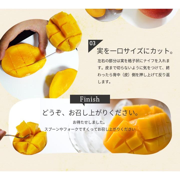 高級 アップルマンゴー 約1kg 約2 3玉前後 台湾から直輸入 台湾産 マンゴー 送料無料 お中元 Mango 101 グルメギフトお取り寄せ山形elab 通販 Yahoo ショッピング