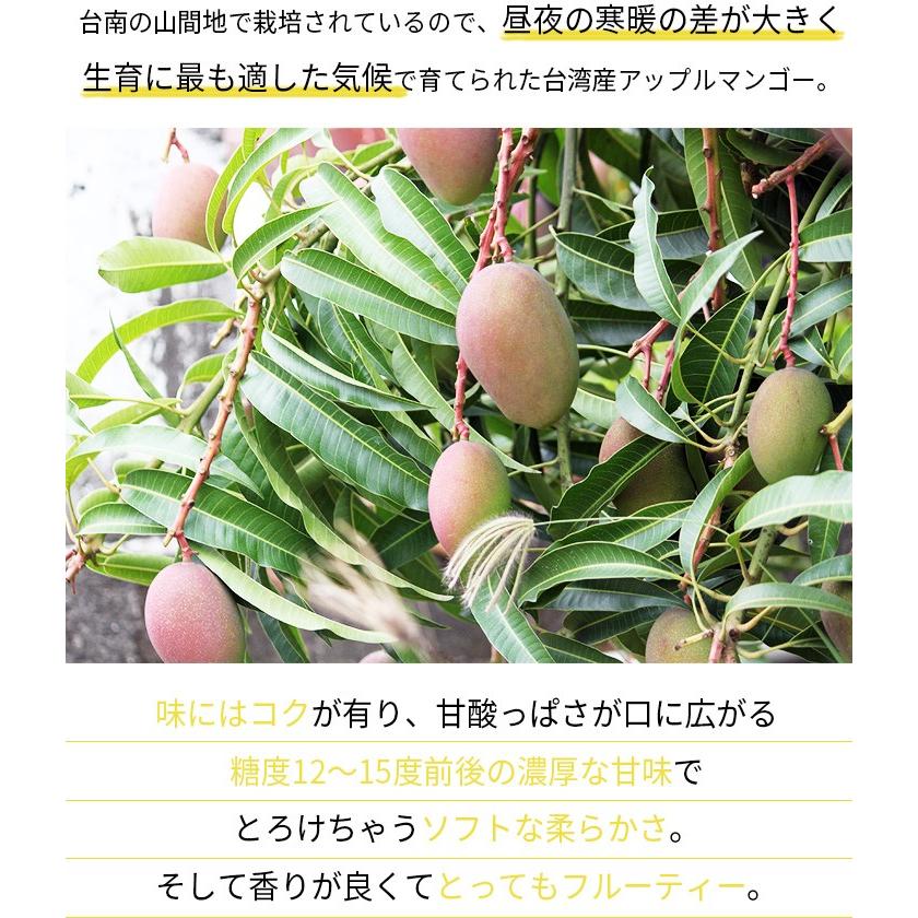 New限定品 高級 アップルマンゴー 約5kg 約10から16玉前後 台湾から直輸入 台湾産 マンゴー お中元 楽天市場 Www Muslimaidusa Org