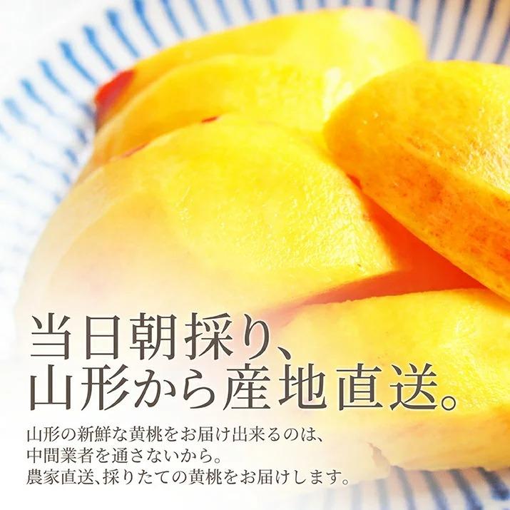 桃 訳あり 黄桃 3kg 13〜16玉前後 山形県産 お徳用 ご家庭用 わけあり 