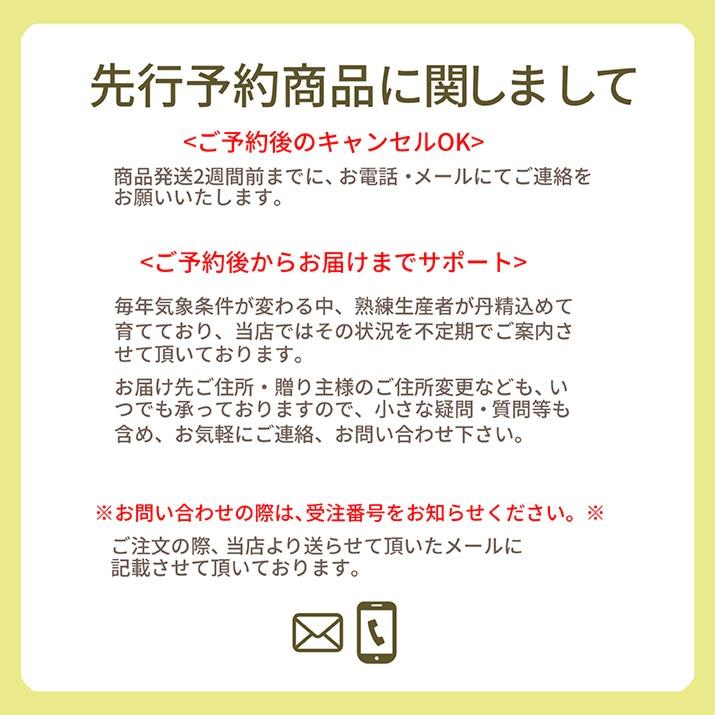 桃 訳あり 白桃 2kg 山形県産 お徳用 ご家庭用 わけあり もも 同梱不可 