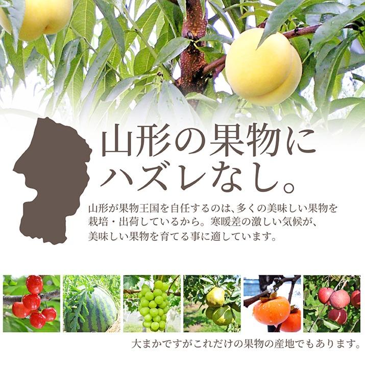 食品 久仁美 硬い桃5kgクール便発送