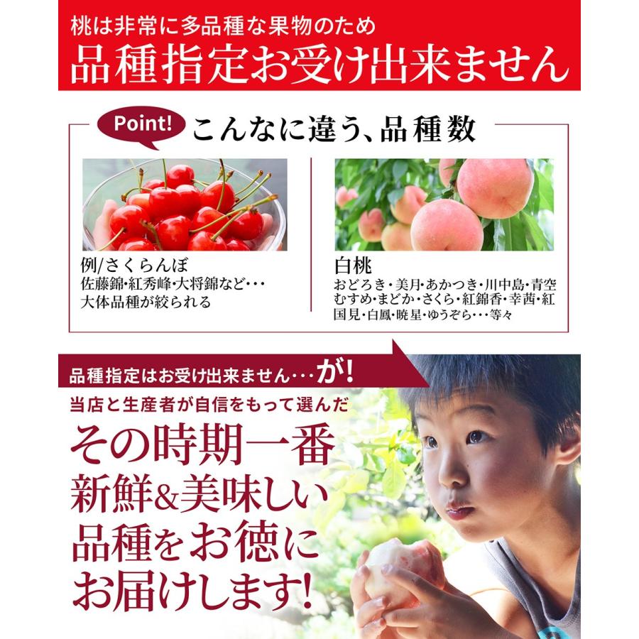 桃 訳あり 白桃 3kg 8〜15玉前後 山形県産 お徳用 ご家庭用 わけあり