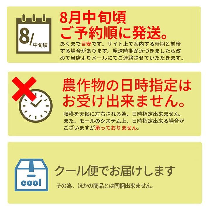 硬い桃 白桃 秀品 おどろき 2kg 山形県産 送料無料 固い桃 かたい桃 かため 硬め 期間限定 産地直送 山形｜azimiya｜11