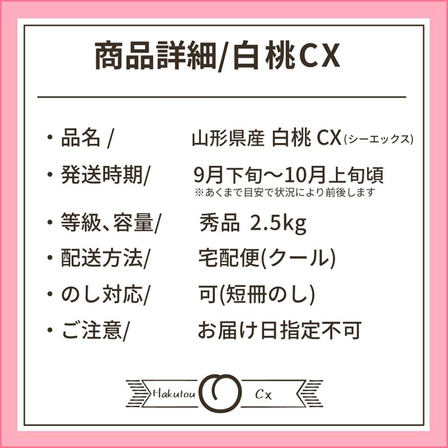 硬い桃 白桃 秀品 白桃CX 2.5kg 山形県産 送料無料 固い桃 かたい桃 かため 硬め 期間限定 産地直送 山形  シーエックス｜azimiya｜12