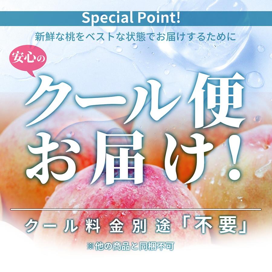 硬い桃 白桃 秀品 白桃CX 2.5kg 山形県産 送料無料 固い桃 かたい桃 かため 硬め 期間限定 産地直送 山形  シーエックス｜azimiya｜17