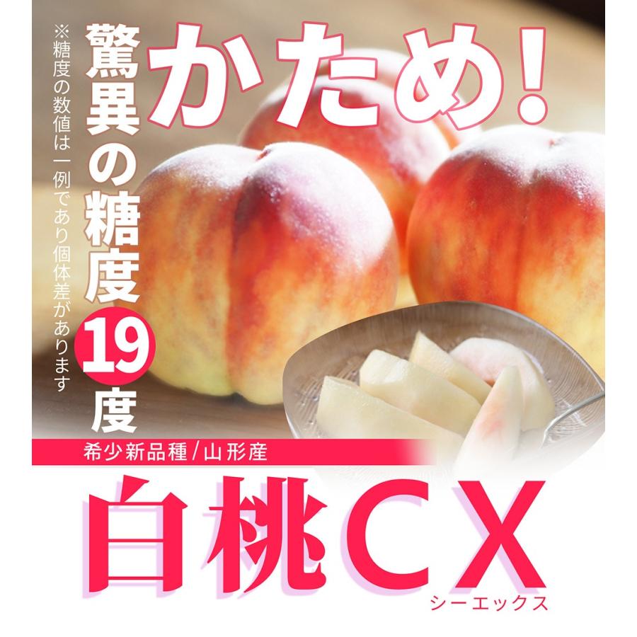 硬い桃 白桃 秀品 白桃CX 2.5kg 山形県産 送料無料 固い桃 かたい桃 か