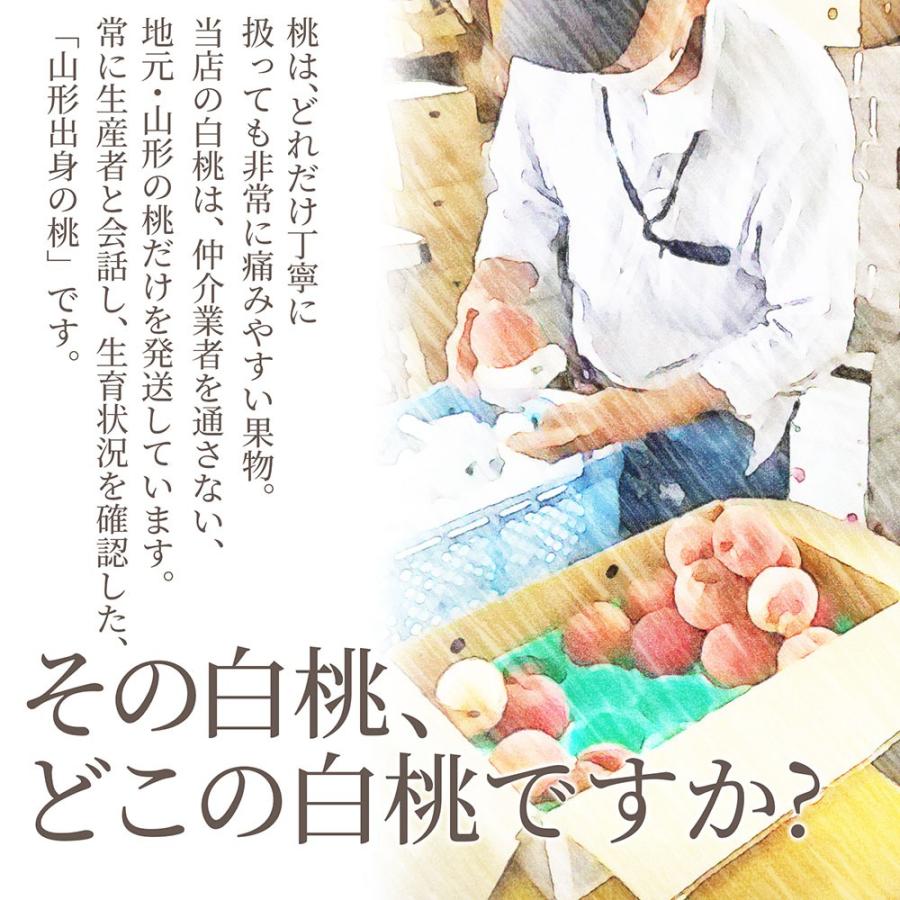 硬い桃 白桃 秀品 白桃CX 2.5kg 山形県産 送料無料 固い桃 かたい桃 か