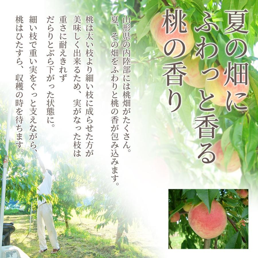 硬い桃 白桃 秀品 白桃CX 2.5kg 山形県産 送料無料 固い桃 かたい桃 か