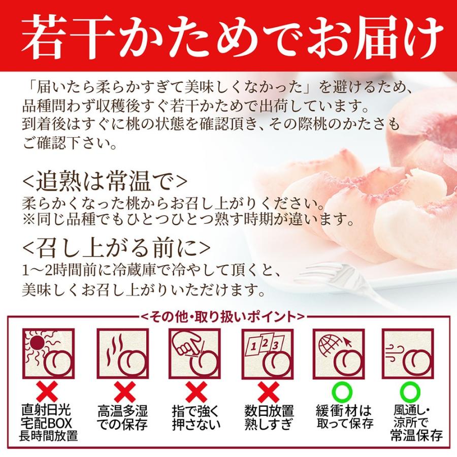 硬い桃 白桃 秀品 白桃CX 2.5kg 山形県産 送料無料 固い桃 かたい桃 か