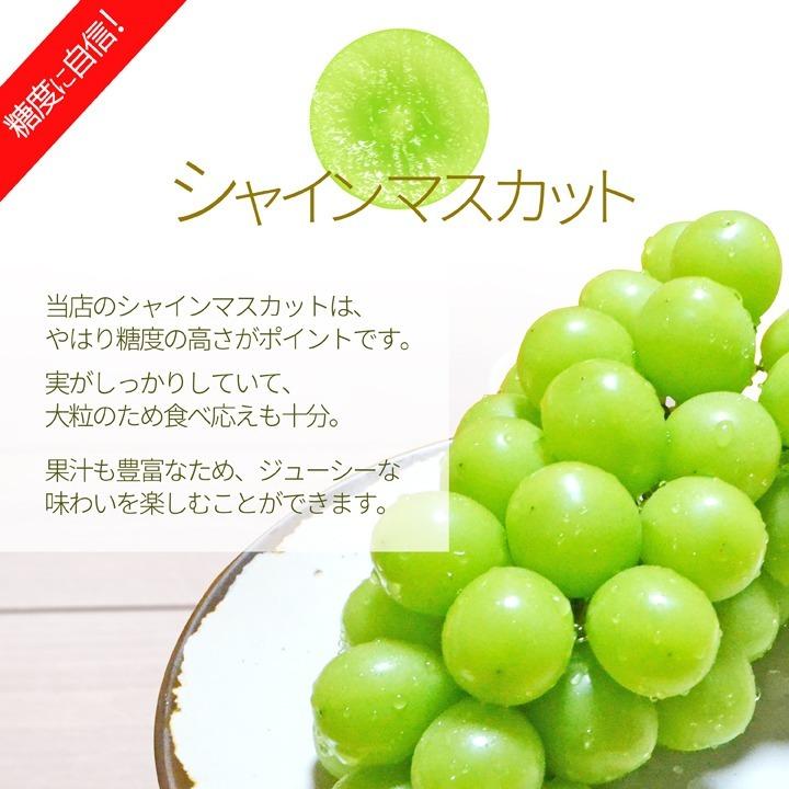 ぶどう セット 詰め合わせ シャインマスカット 1房 & 大粒 ピオーネ 2