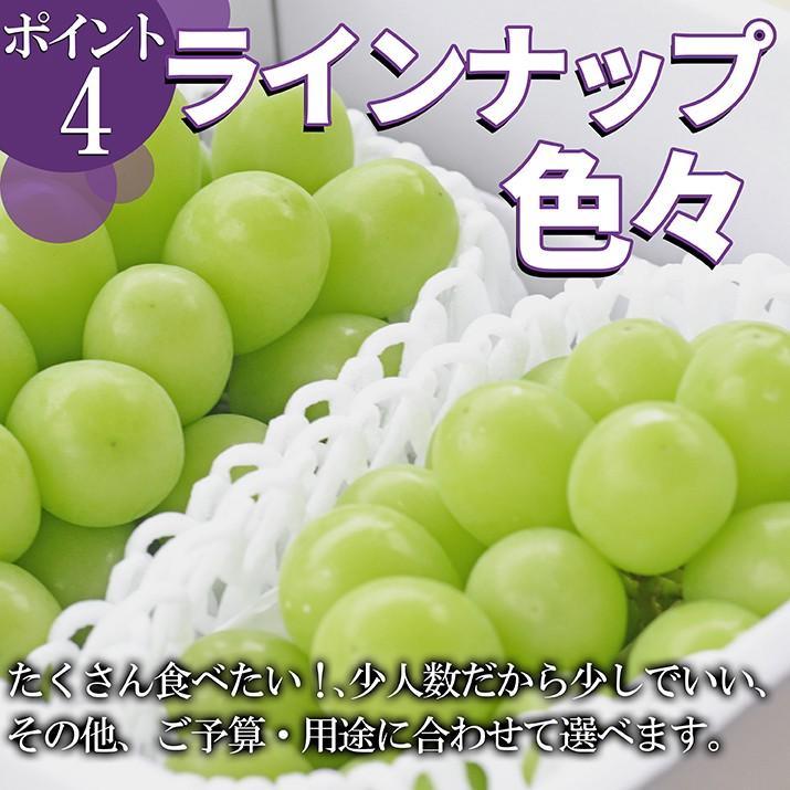 ぶどう 訳あり シャインマスカット 約1kg (2〜3房入り) 山形県産 ブドウ 自家用 お徳用 ご家庭用 大粒 産地直送 (遠方送料加算)｜azimiya｜05