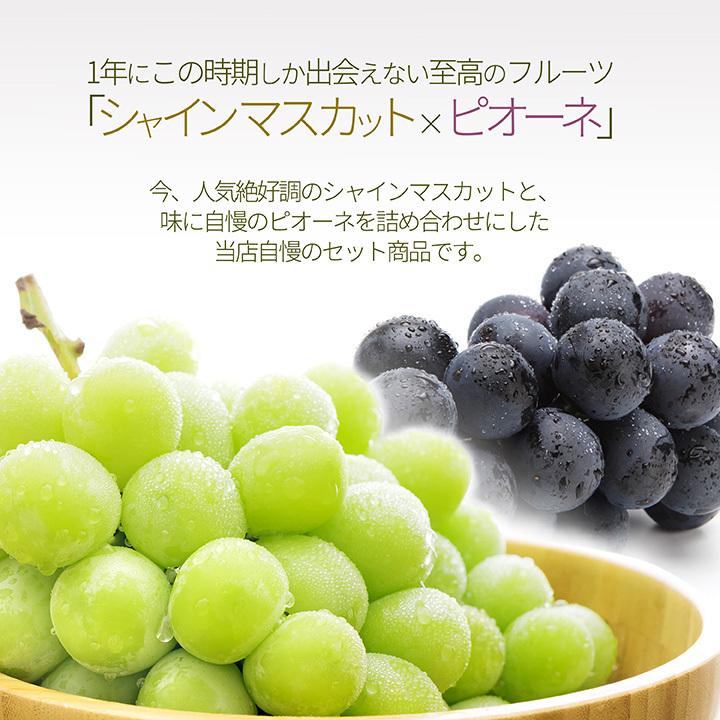 ピカ 山形県産　訳ありシャインマスカット大房　中房　２箱 大房「シャインマスカット」 山梨県産ぶどう 青秀品 2房 計約1.2kg