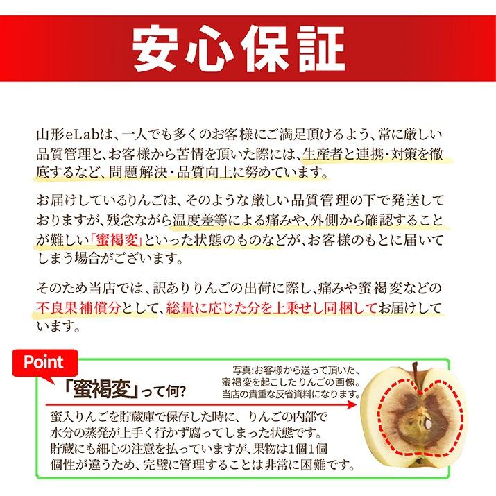 りんご 訳あり 10kg 山形県産 サンふじ リンゴ ご家庭用