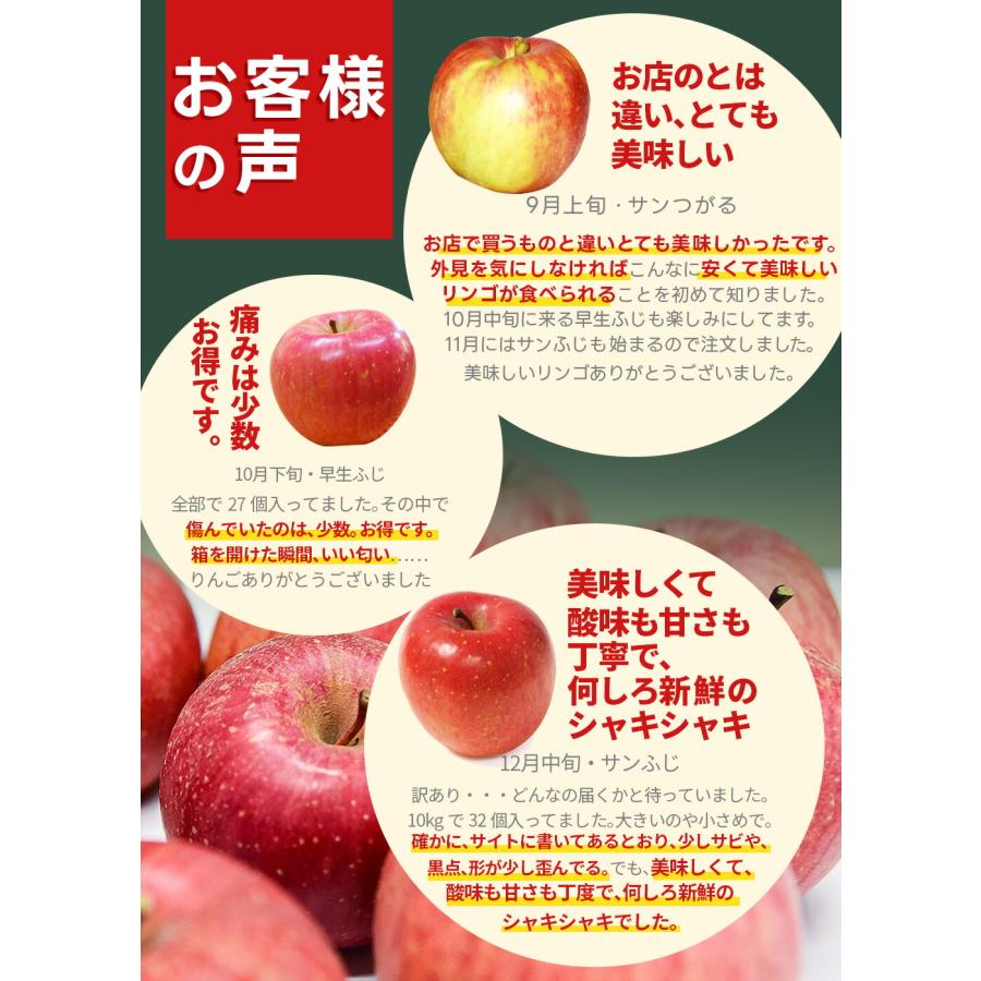 秋映 甘い！たっぷり10kg 山形県産