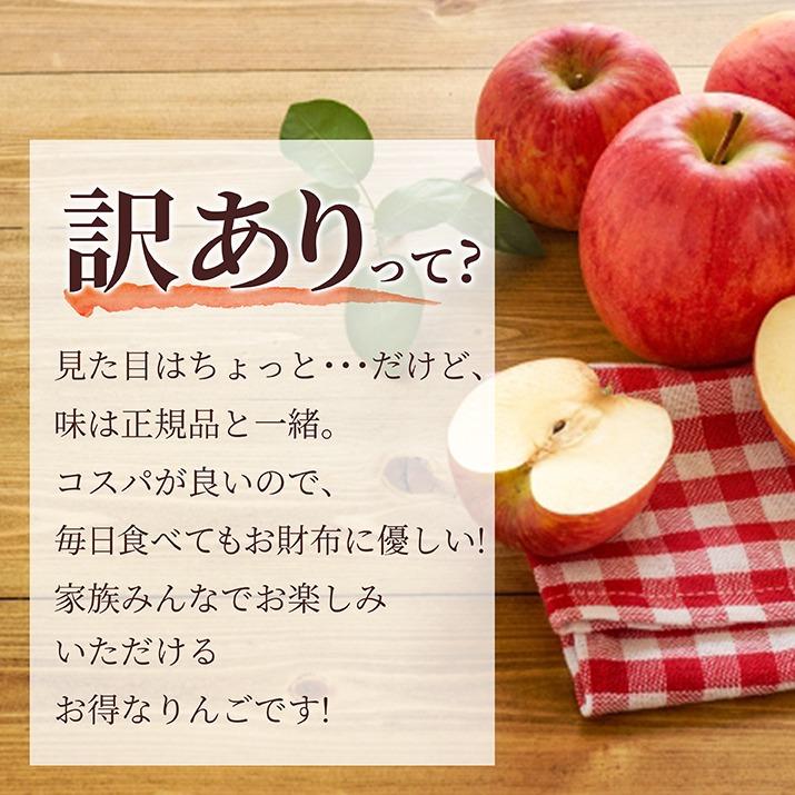 りんご 訳あり 10kg 山形県産 サンふじ リンゴ ご家庭用 ジュース お徳用 訳ありりんご 10キロ 産地直送 送料無料 遠方送料加算 訳あり りんご｜azimiya｜03