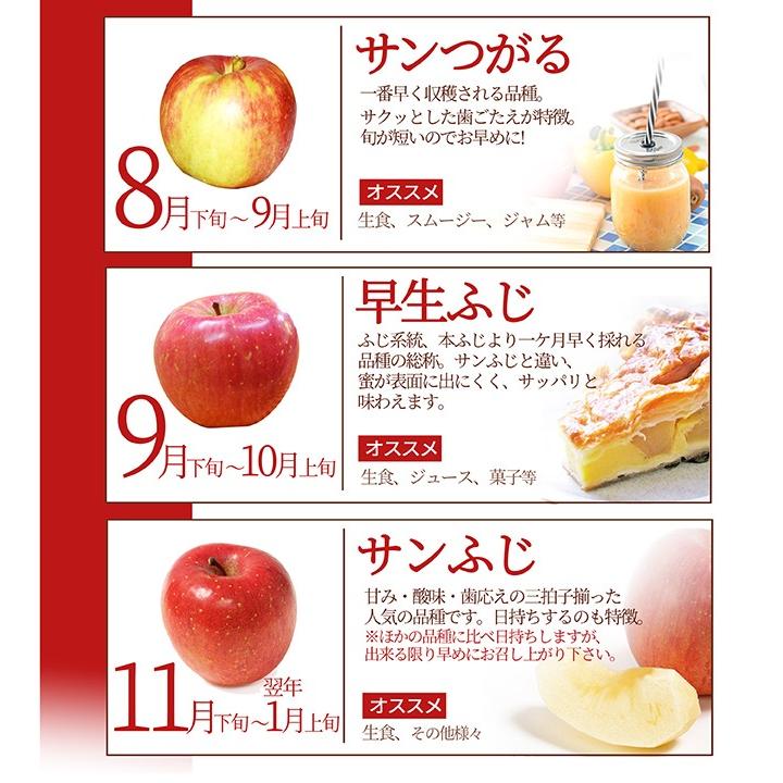 りんご 訳あり 10kg 山形県産 サンふじ リンゴ ご家庭用 ジュース お徳用 訳ありりんご 10キロ 産地直送 送料無料 遠方送料加算 訳あり りんご｜azimiya｜07