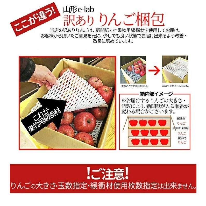 りんご 訳あり 10kg 山形県産 サンふじ リンゴ ご家庭用 ジュース お徳用 訳ありりんご 10キロ 産地直送 送料無料 遠方送料加算 訳あり りんご｜azimiya｜10