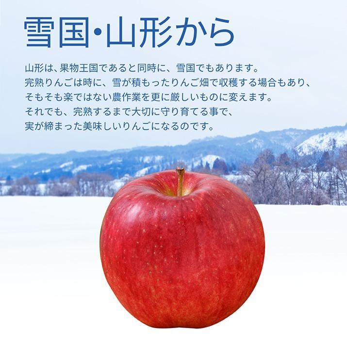 りんご 贈答用 3kg 10〜12玉前後 蜜入り 山形県産 サンふじ りんご 贈答用 3kg 10〜12玉前後 蜜入り 山形県産 サンふじ
