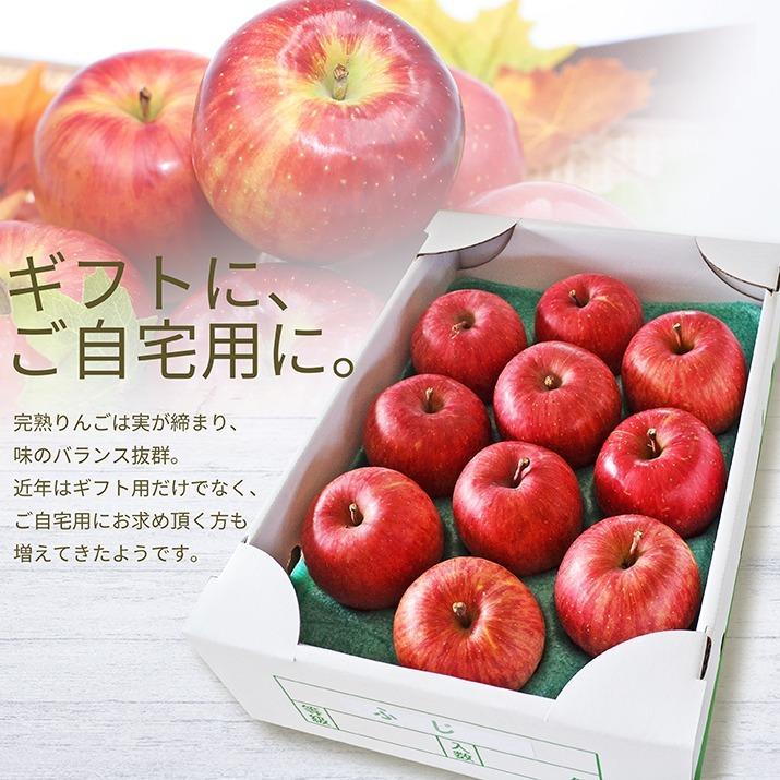 りんご 贈答用 3kg 10〜12玉前後 蜜入り 山形県産 サンふじ りんご 贈答用 3kg 10〜12玉前後 蜜入り 山形県産 サンふじ