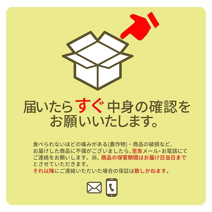 フルーツ ギフト りんご 送料無料 サンふじ 約2kgフルーツ 山形県産 ステビア栽培｜azimiya｜14