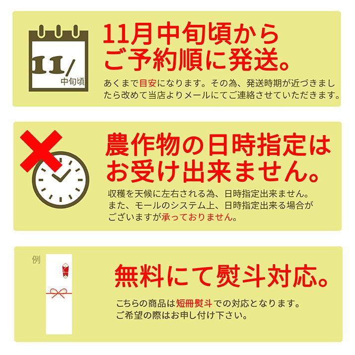 フルーツ ギフト りんご 送料無料 サンふじ 約2kgフルーツ 山形県産 ステビア栽培｜azimiya｜09